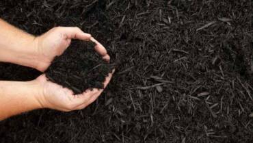 Soil & Mulch